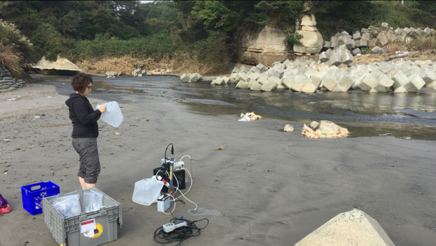 Virginie Sanial, a scientist at Woods Hole Oceanographic Institution, samples groundwater beneath beaches in Japan. She plunged 3- to 7-foot-long tubes into the sand, pumped up underlying groundwater, and analyzed its cesium-137 content.” Photo by Matt Charette, Woods Hole Oceanographic Institution